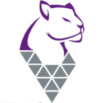  کمترین قیمت مربوط به ایرلاینRAI می باشد