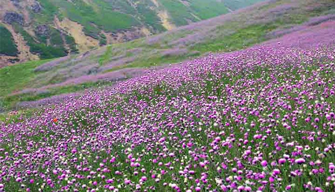 جاده اسالم به خلخال