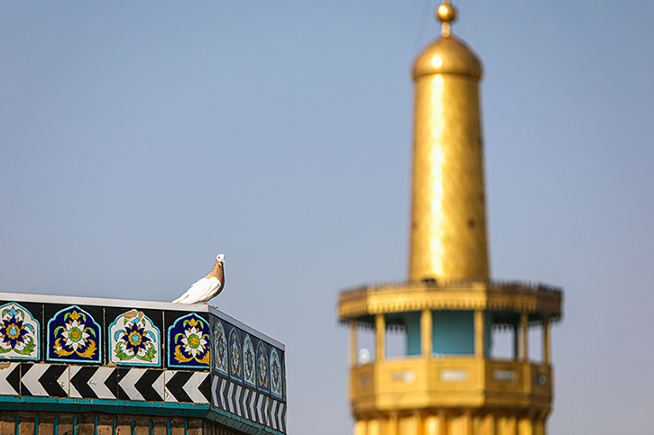 حرم امام رضا