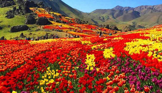 دشت گل شهر کرج